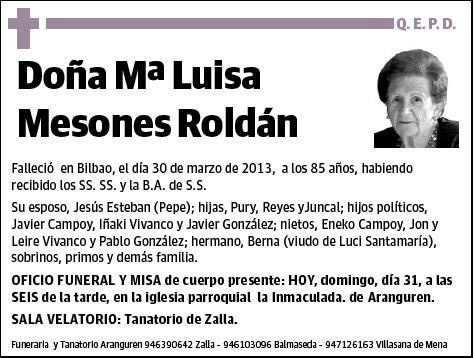 MESONES ROLDAN,MARIA LUISA
