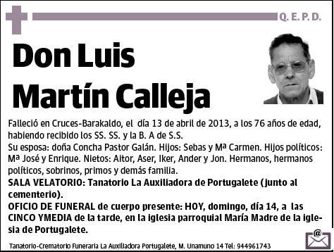 MARTIN CALLEJA,LUIS