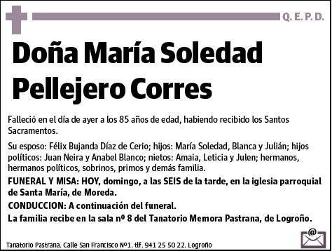 PELLEJERO CORRES,MARIA SOLEDAD