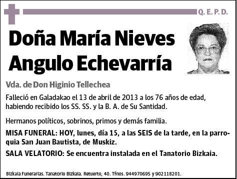 ANGULO ECHEVARRIA,MARIA NIEVES