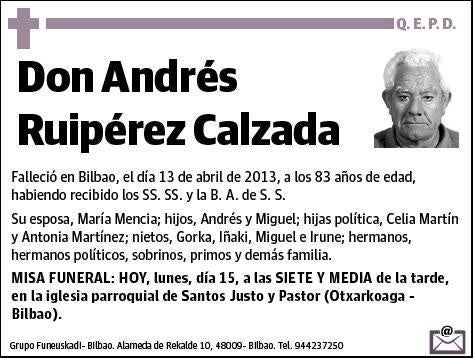 RUIPEREZ CALZADA,ANDRES