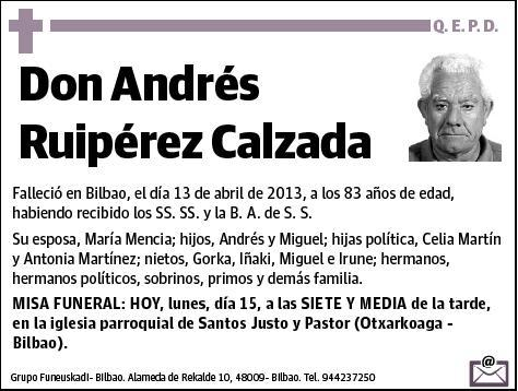 RUIPEREZ CALZADA,ANDRES