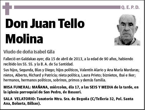 TELLO MOLINA,JUAN