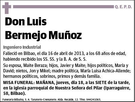 BERMEJO MUÑOZ,LUIS