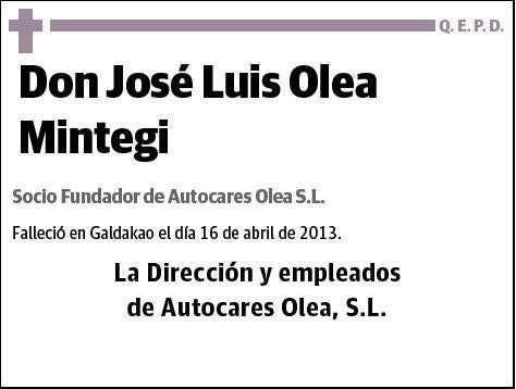 OLEA MINTEGI,JOSE LUIS