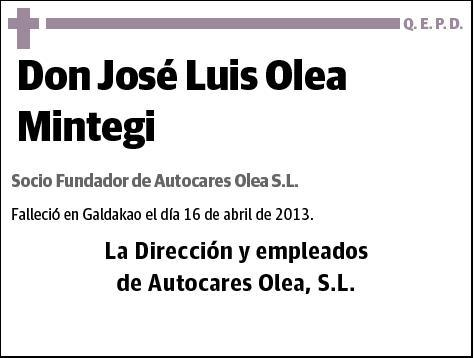 OLEA MINTEGI,JOSE LUIS