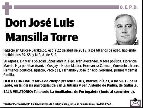 MANSILLA TORRE,JOSE LUIS