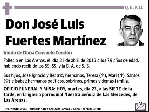 FUERTES MARTINEZ,JOSE LUIS