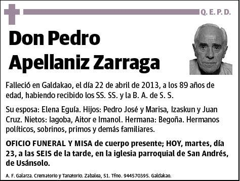 APELLANIZ ZARRAGA,PEDRO