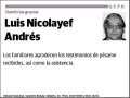 NICOLAYEF ANDRES,LUIS