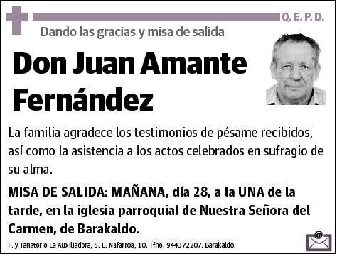 AMANTE FERNANDEZ,JUAN