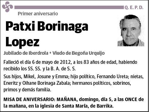 BORINAGA LOPEZ,PATXI