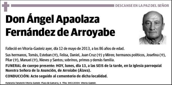 APAOLAZA FERNANDEZ DE ARROYABE,ANGEL