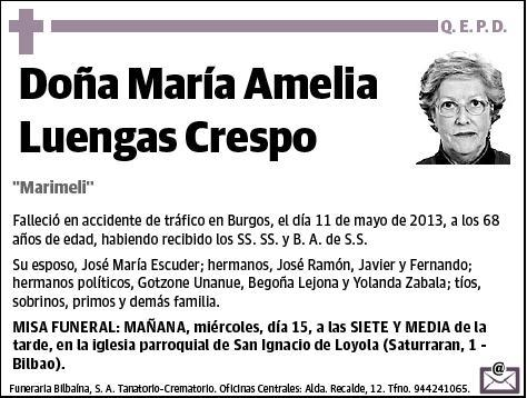 LUENGAS CRESPO,MARIA AMELIA