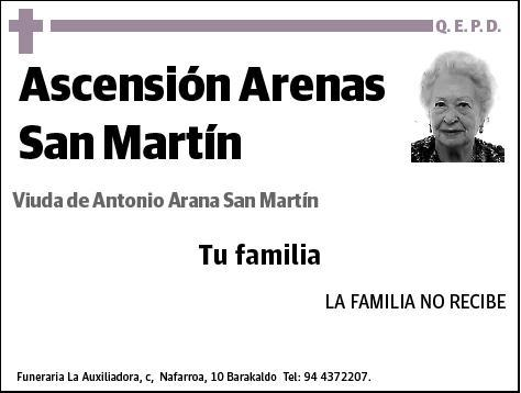 ARENAS SAN MARTIN,ASCENSION