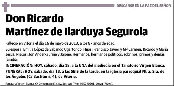 MARTINEZ DE ILARDUYA SEGUROLA,RICARDO