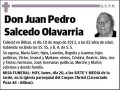 SALCEDO OLAVARRIA,JUAN PEDRO
