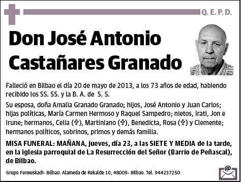 CASTAÑARES GRANADO,JOSE ANTONIO