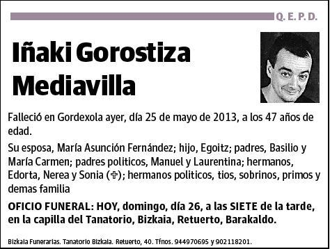 GOROSTIZA MEDIAVILLA,IÑAKI