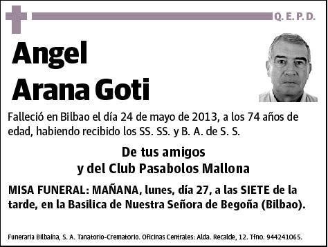 ARANA GOTI,ANGEL