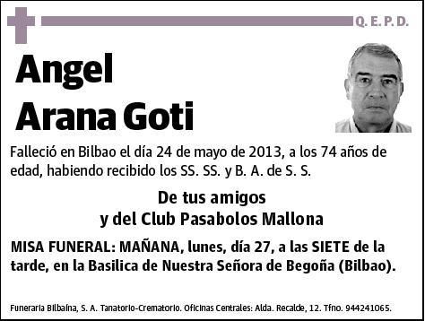 ARANA GOTI,ANGEL