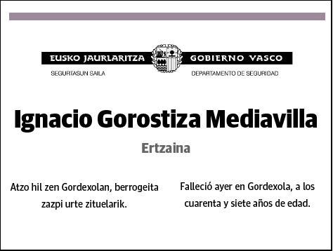 GOROSTIZ MEDIAVILLA,IGNACIO