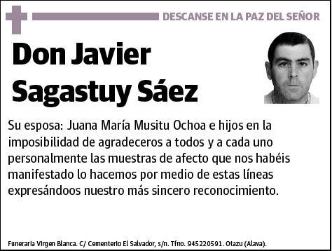 SAGASTUY SAEZ,JAVIER