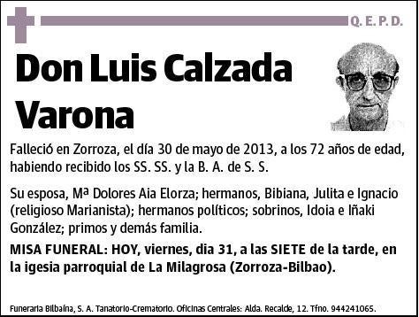 CALZADA VARONA,LUIS