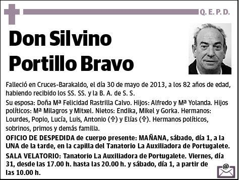 PORTILLO BRAVO,SILVINO