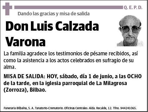 CALZADA VARONA,LUIS