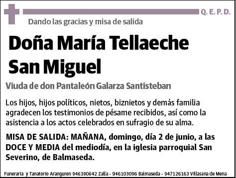 TELLAECHE SAN MIGUEL,MARIA