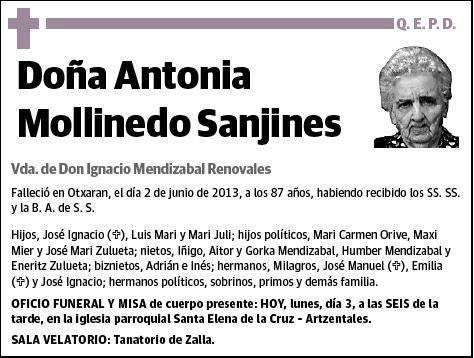 MOLLINEDO SANJINES,ANTONIA