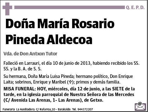 PINEDA ALDECOA,MARIA ROSARIO