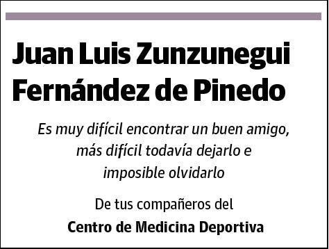 ZUNZUNEGUI FERNANDEZ DE PINEDO,JUAN LUIS