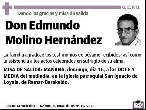 MOLINO HERNANDEZ,EDMUNDO