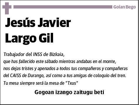 LARGO GIL,JESUS JAVIER