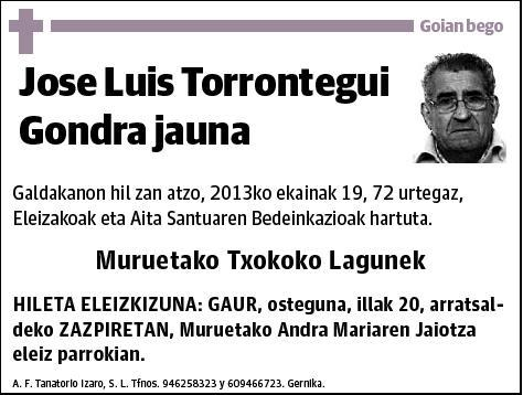 TORRONTEGUI GONDRA,JOSE LUIS