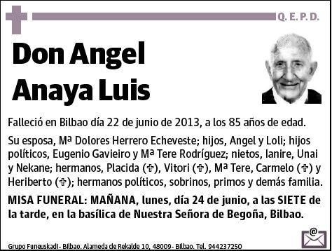 ANAYA LUIS,ANGEL