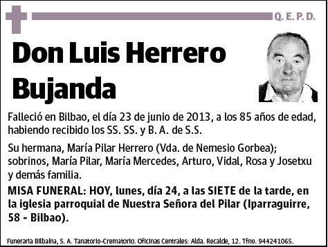 HERRERO BUJANDA,LUIS