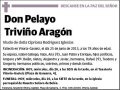 TRIVIÑO ARAGON,PELAYO