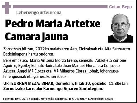 ARTETXE CAMARA,PEDRO MARIA