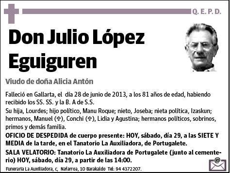 LOPEZ EGUIGUREN,JULIO