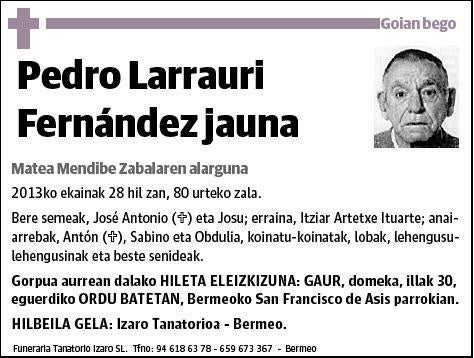 LARRAURI FERNANDEZ,PEDRO