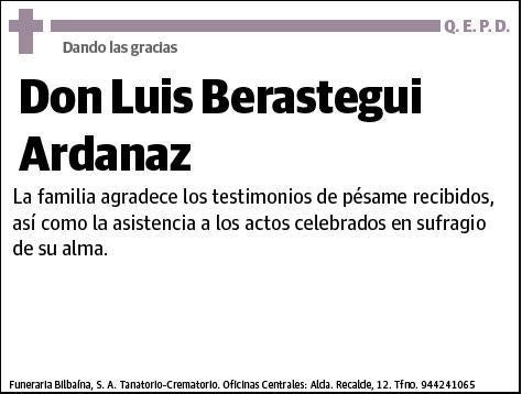 BERASTEGUI ARDANAS,LUIS