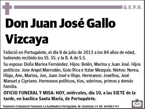 GALLO VIZCAYA,JUAN JOSE