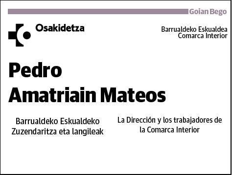 AMATRIAIN MATEOS,PEDRO