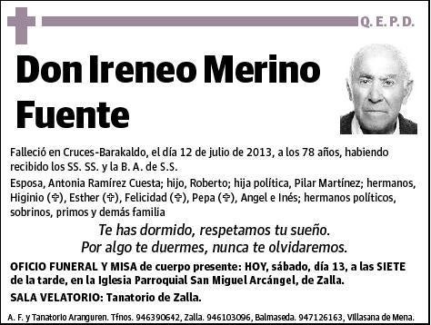 MERINO FUENTE,IRENEO