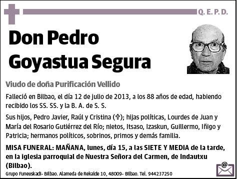 GOYASTUA SEGURA,PEDRO