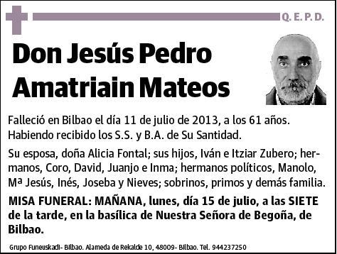 AMATRIAIN MATEOS,JESUS PEDRO