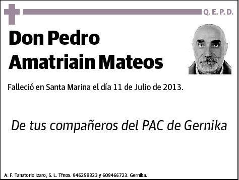 AMATRIAIN MATEOS,PEDRO